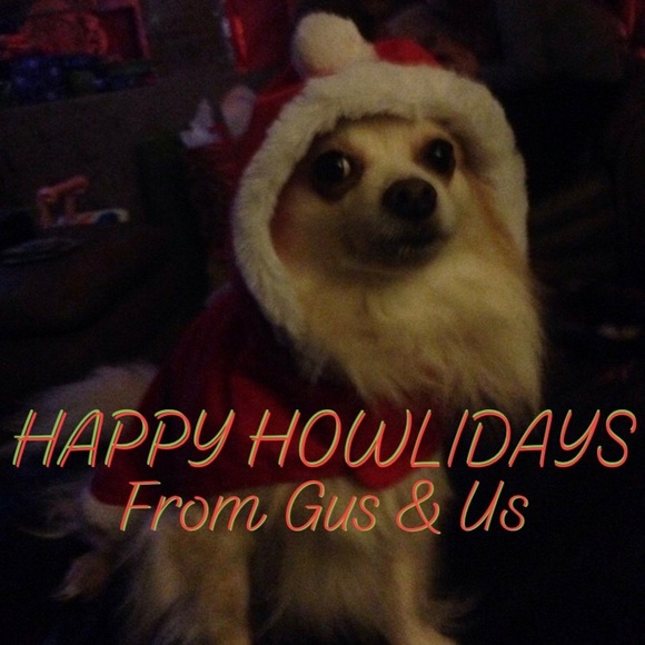 Meet your Posher, Emma - Picture 5 of 5